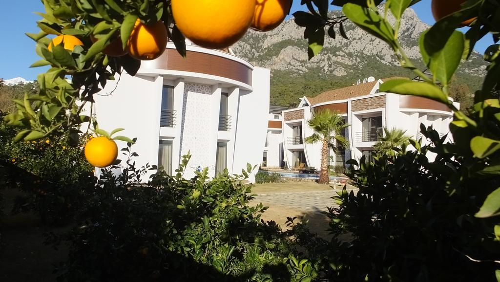 Han-De Homes Kemer Bagian luar foto
